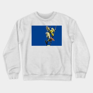 Blue Sky and a Butterfly Crewneck Sweatshirt